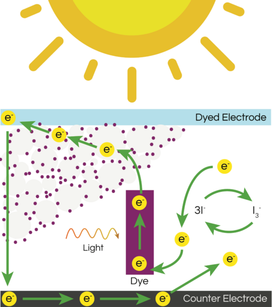 Cover photo for Efficacy of Rotten and Fresh Fruit Extracts as the Photosensitive Dye for Dye-Sensitized Solar Cells
