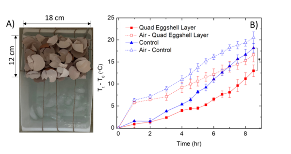 Cover photo for Slowing ice melting from thermal radiation using sustainable, eco-friendly eggshells