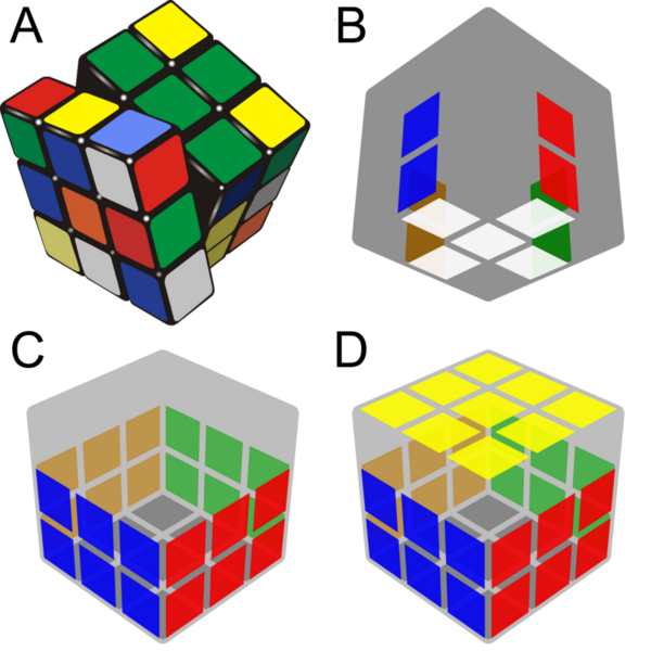 Cover photo for Rubik’s cube: What separates the fastest solvers from the rest?