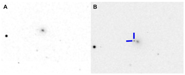 Cover photo for Color photometry and light curve modeling of apparent transient 2023jri