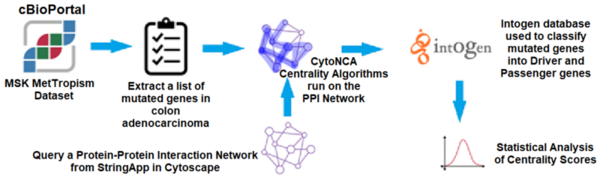 Cover photo for Applying centrality analysis on a protein interaction network to predict colorectal cancer driver genes
