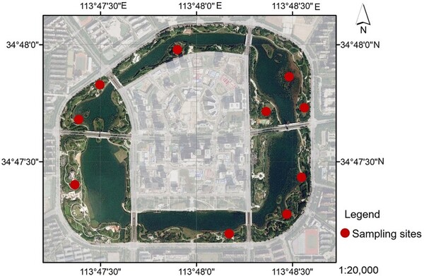 Variation, relationship, and trade-offs of leaf traits in large and small deciduous broadleaf tree species