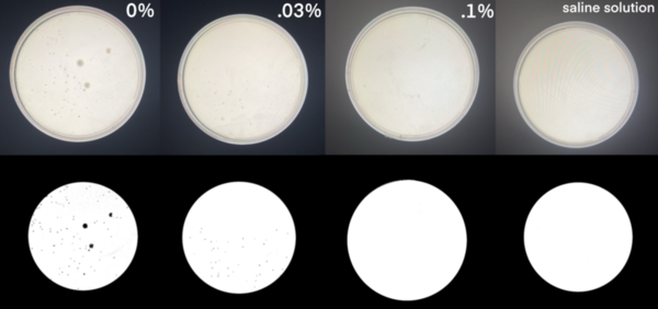 Cover photo for Failure of colony growth in probiotic <i>Lactobacillus casei</i> Shirota as result of preservative sorbic acid