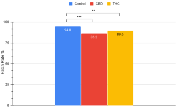 Cover photo for Parental exposure of cannabinoids THC and CBD reduces reproductive rates in <i>Drosophila melanogaster</i>