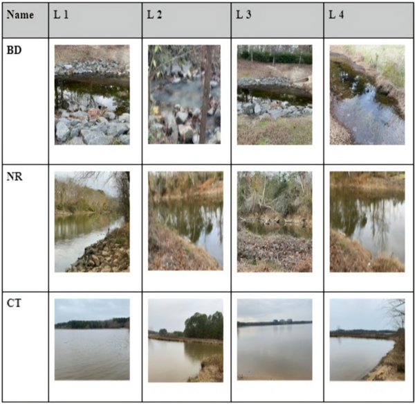Cover photo for Impact of hog farming on water quality of aquatic environments in North Carolina