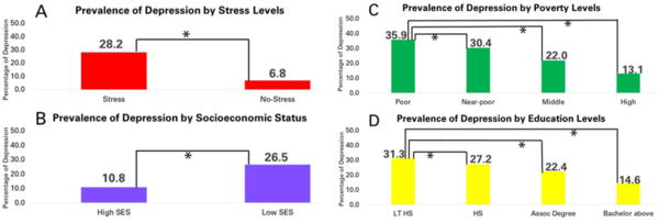 Cover photo for Stress and depression among individuals with low socioeconomic status during economic inflation