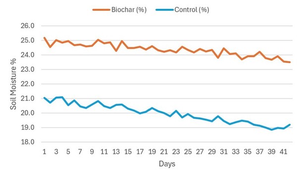 Enhanced soil fertility through seaweed-derived biochar: A comparative analysis with commercial fertilizers
