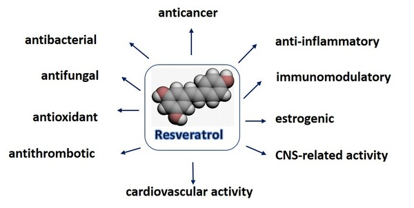 Cover photo for <em>In vitro</em> Comparison of Anticancer and Immunomodulatory Activities of Resveratrol and its Oligomers