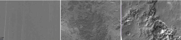 Silver nanoparticle-coated orthopedic screws lead to greater calcium precipitation