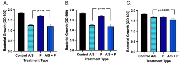 Cover photo for The effect of bioenhancers on ampicillin-sulbactam as a treatment against <i>A. baumannii<i>