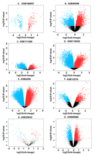 The effects of dysregulated ion channels and vasoconstriction in glioblastoma multiforme