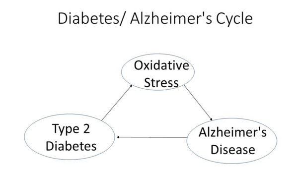 Cover photo for Potential Multifunctional Agents for Dual Therapy of Age-Related and Associated Diseases: Alzheimer’s Disease and Type 2 Diabetes Mellitus