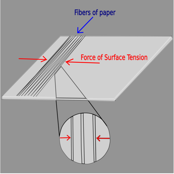 Cover photo for Determining surface tension of various liquids and shear modulus of paper using crumpling effect