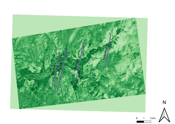 Cover photo for Presence of Vegetation in Relation to Slope in Yosemite Valley, California