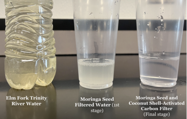 Cover photo for Heavy metal and bacterial water filtration using <i>Moringa oleifera</i> and coconut shell-activated carbon