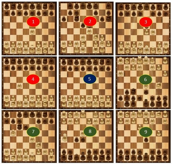 Cover photo for Do Initial Strategies or Choice of Piece Color Lead to Advantages in Chess Games?